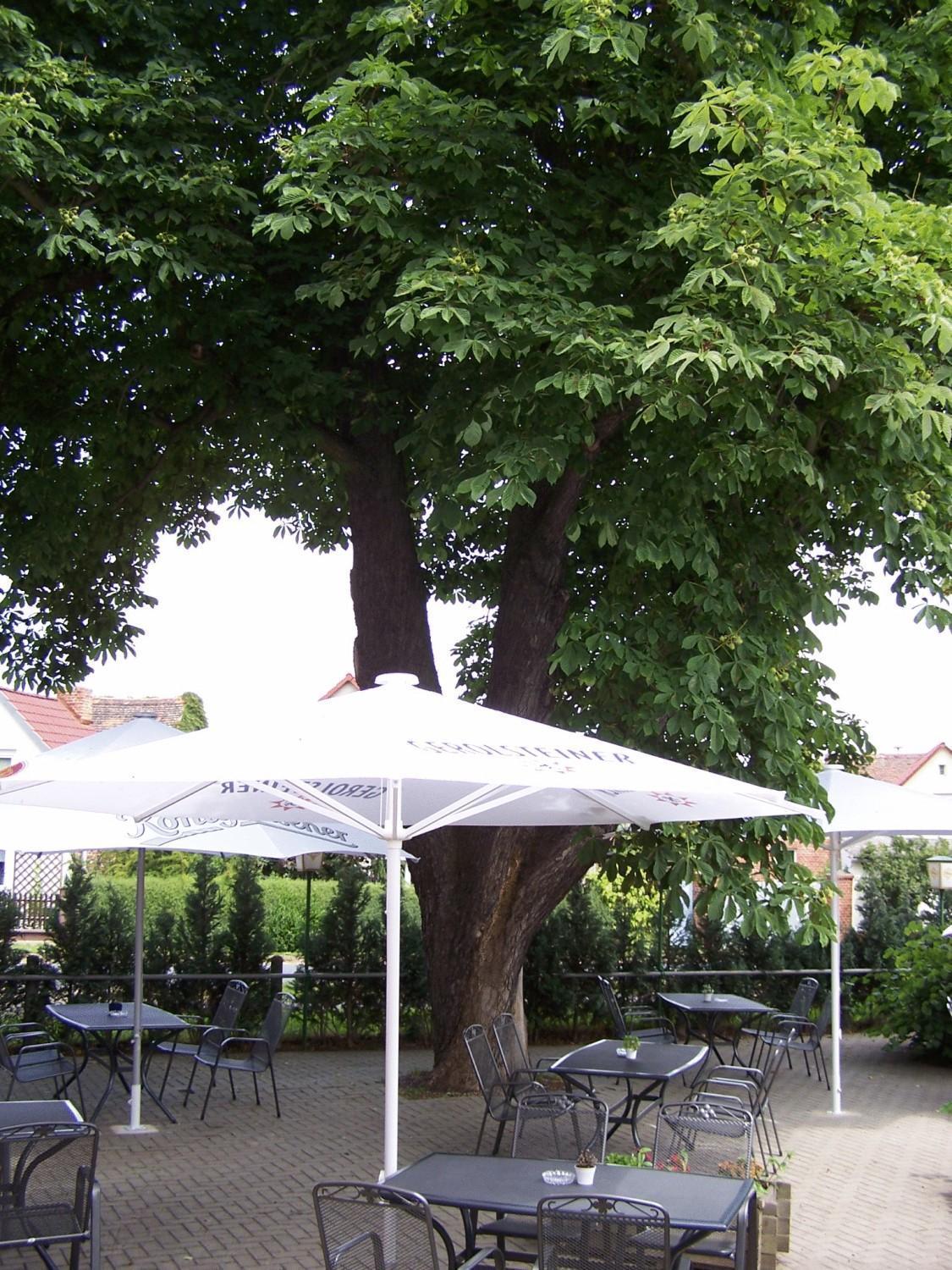 Hotel Glindenberger Hof Esterno foto